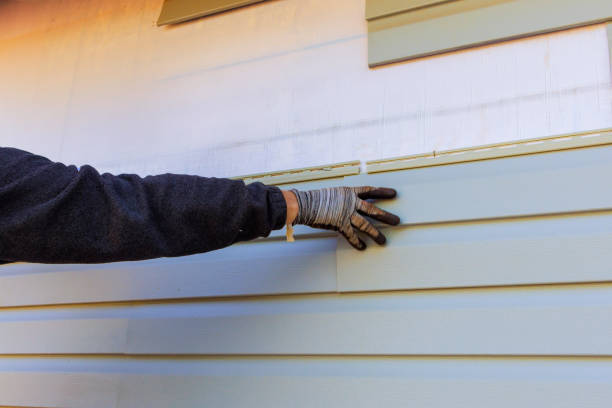 Best Insulated Siding Installation  in Bazon, CA